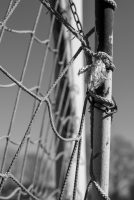 jorien-loman-xQx8-_xe0C0-unsplash