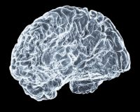 shawn-day-ii6BOPjAtVY-unsplash